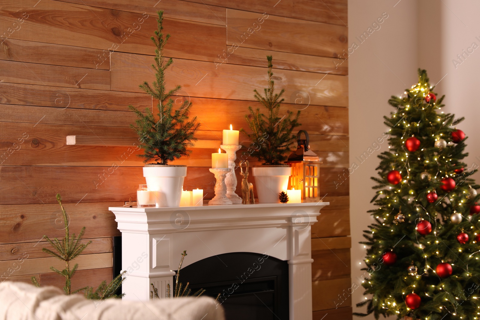 Photo of Beautiful room interior with potted firs, fireplace and decorated Christmas tree