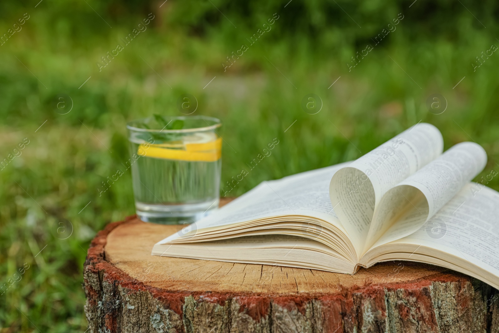 Photo of Open book near glass of water with mint and lemon on tree stump outdoors