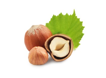 Tasty organic hazelnuts and leaf on white background