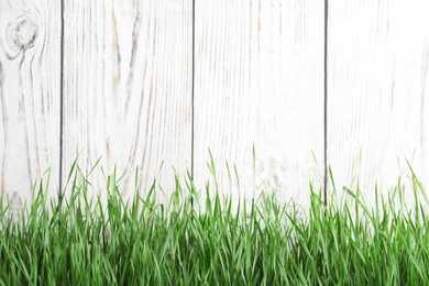 Fresh green grass near white wooden fence. Space for text