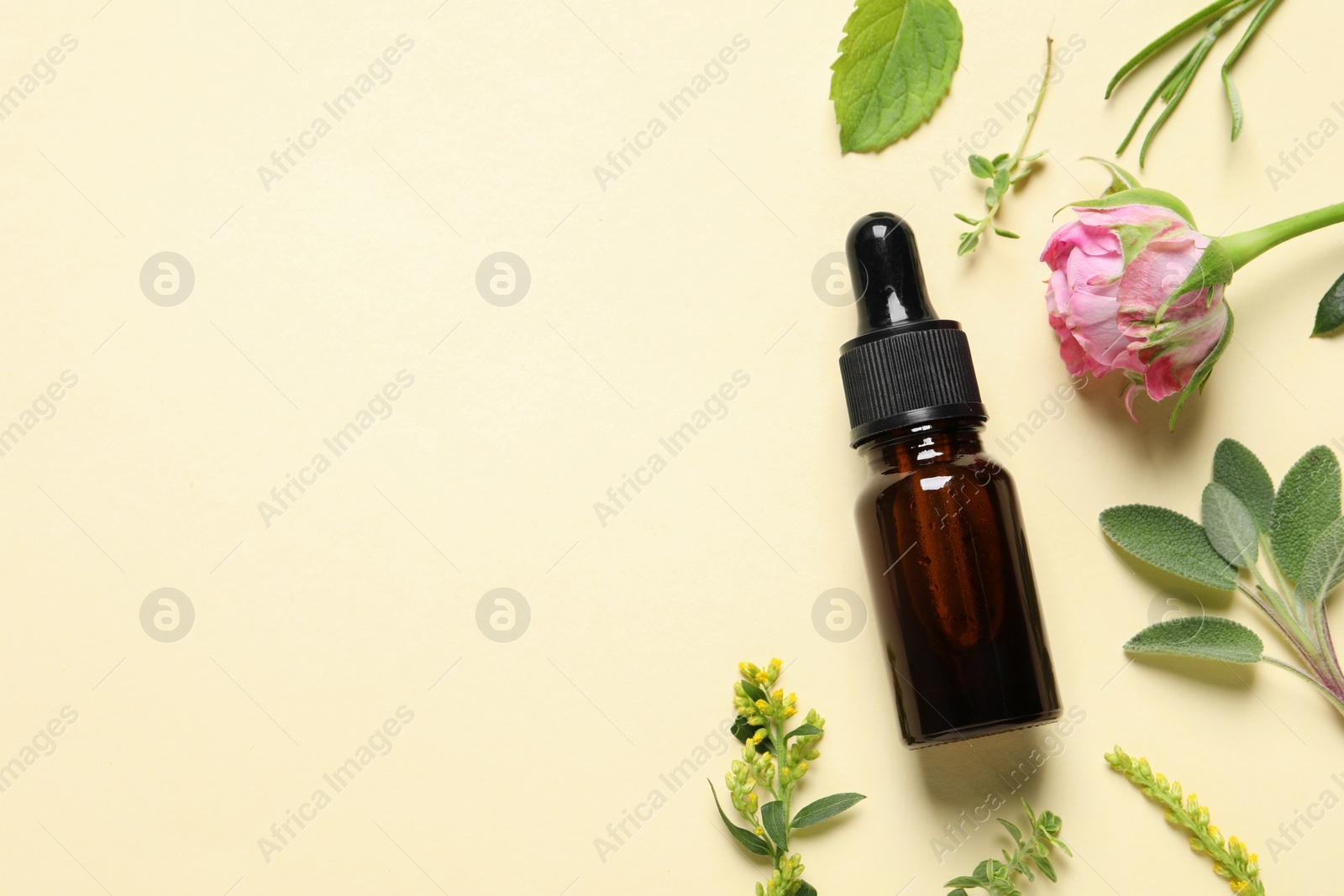 Photo of Bottle of essential oil, different herbs and rose flower on beige background, flat lay. Space for text