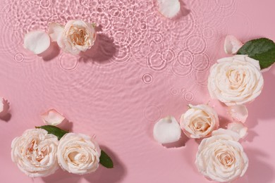 Beautiful roses, petals and leaves in water on pink background, top view. Space for text