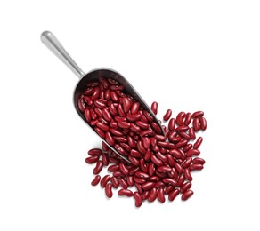 Photo of Scoop with raw red kidney beans on white background, top view