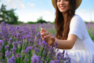 Young woman in lavender field on summer day, focus on hand