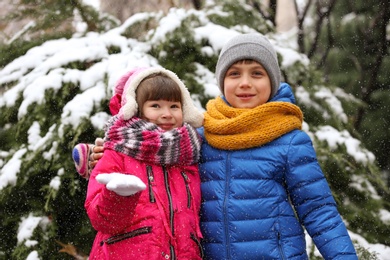 Photo of Happy children near fir tree covered with snow on winter day