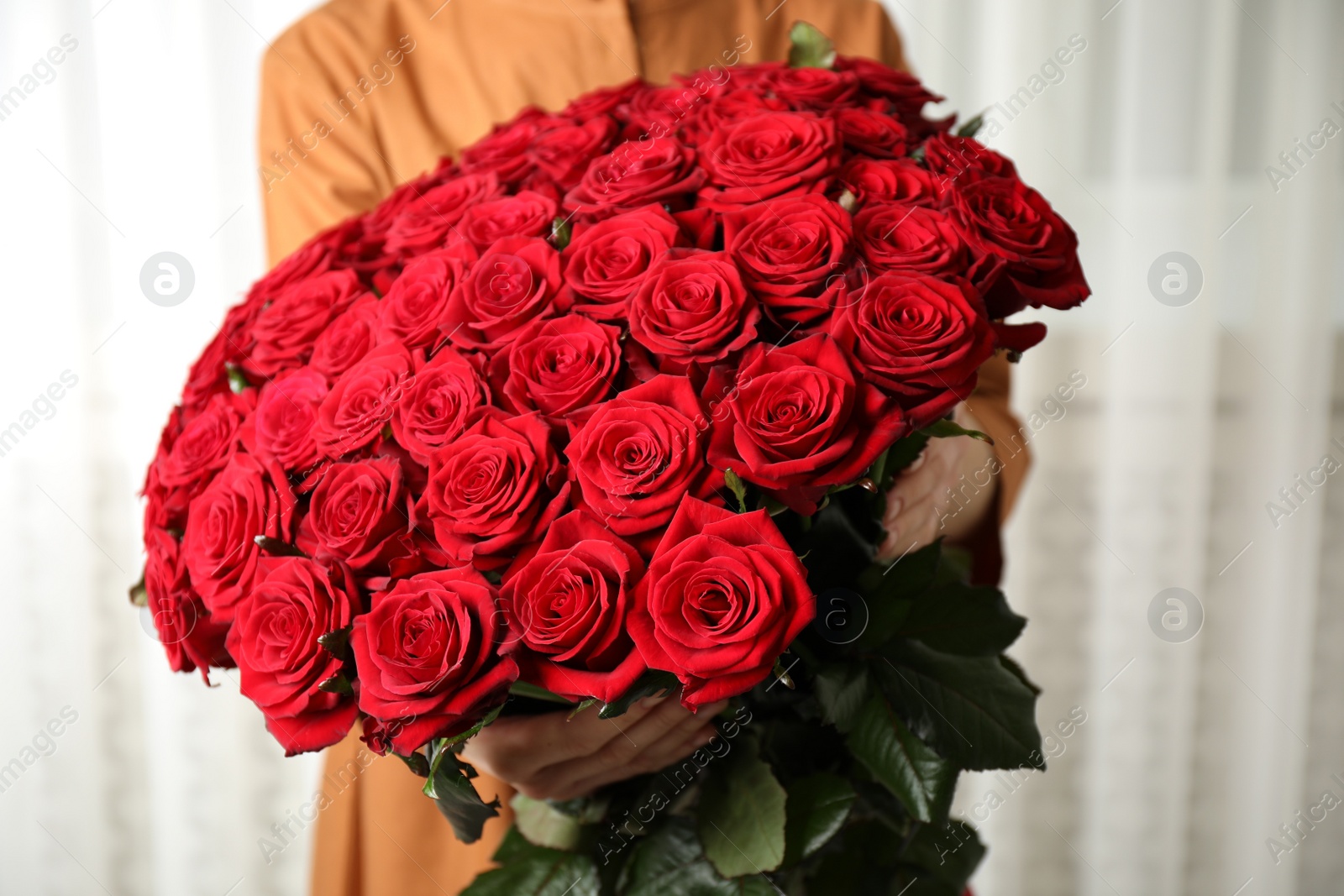 Photo of Woman holding luxury bouquet of fresh red roses indoors, closeup