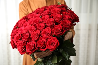 Woman holding luxury bouquet of fresh red roses indoors, closeup