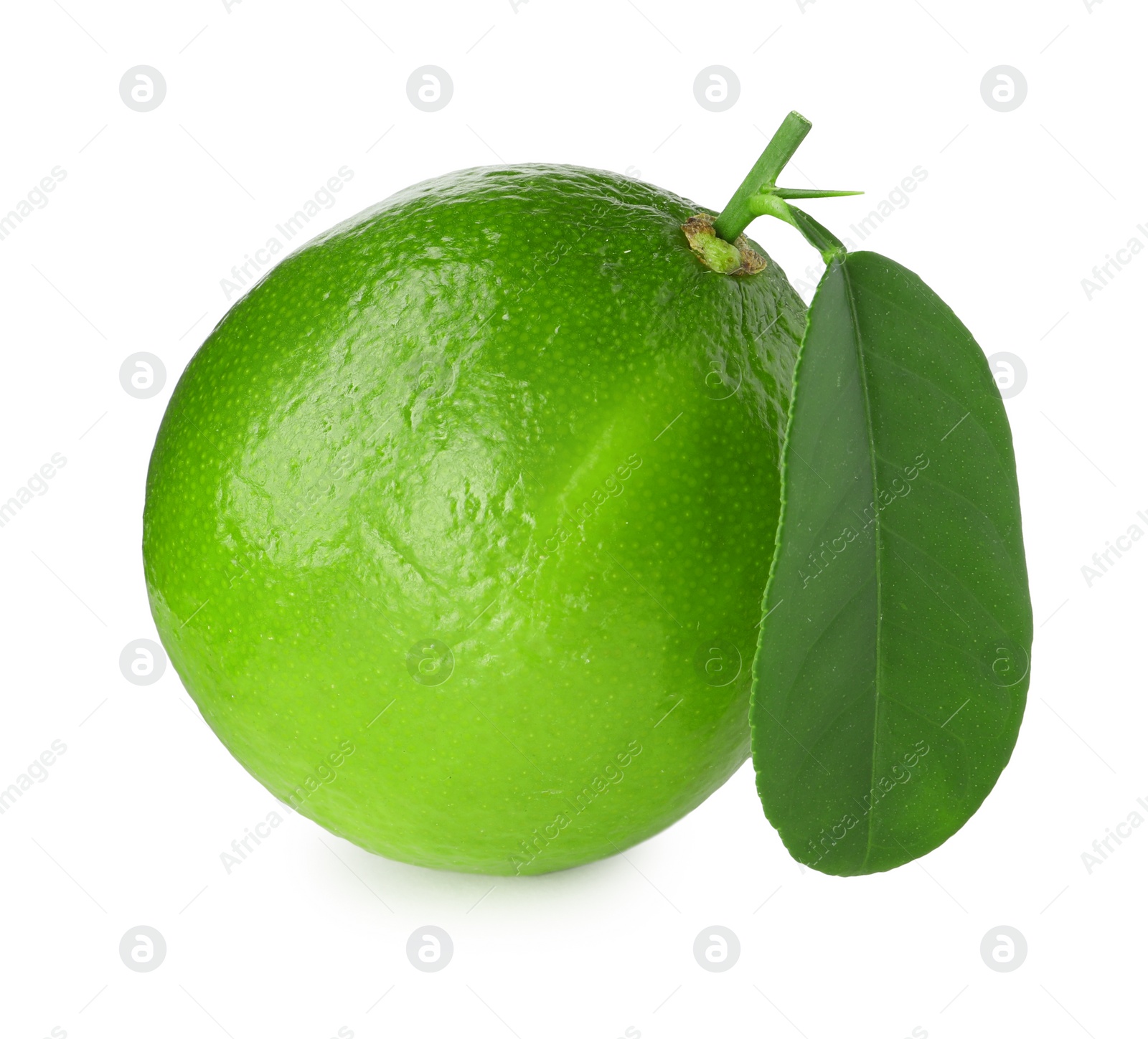 Photo of Fresh green ripe lime with leaf isolated on white