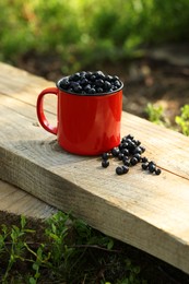 Photo of Red cup of bilberries on wooden bench outdoors