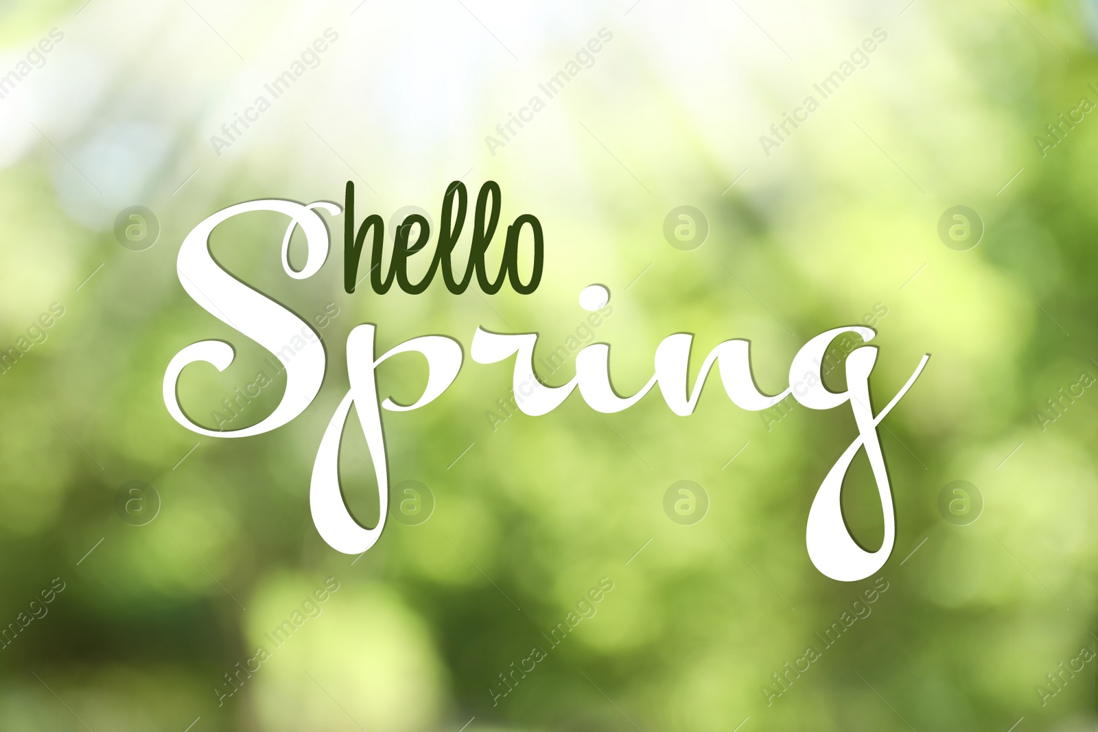 Image of Text Hello Spring on blurred green background. Bokeh effect