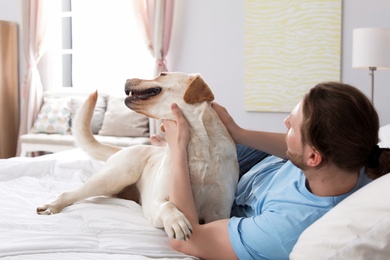 Photo of Adorable yellow labrador retriever with owner on bed indoors