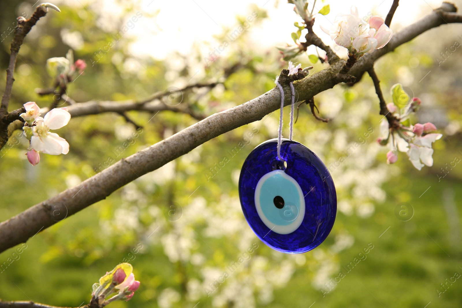 Photo of Evil eye amulet hanging on blossoming spring tree outdoors, closeup