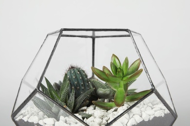 Photo of Glass florarium vase with succulents and cactus on grey background, closeup