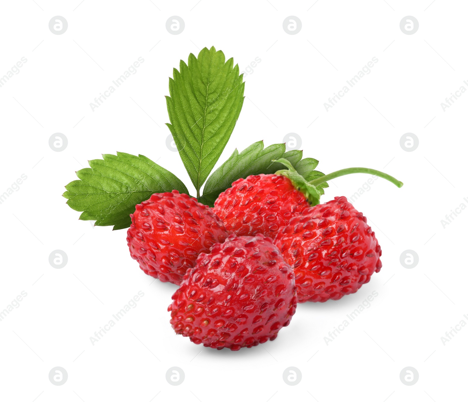 Image of Fresh ripe wild strawberries with green leaves isolated on white