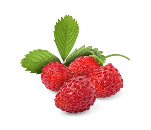 Image of Fresh ripe wild strawberries with green leaves isolated on white