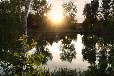 Photo of Picturesque view of lake at sunrise. Morning landscape