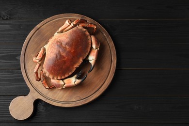 Photo of Delicious boiled crab on black wooden table, top view. Space for text