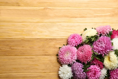 Photo of Beautiful asters and space for text on wooden background, flat lay. Autumn flowers