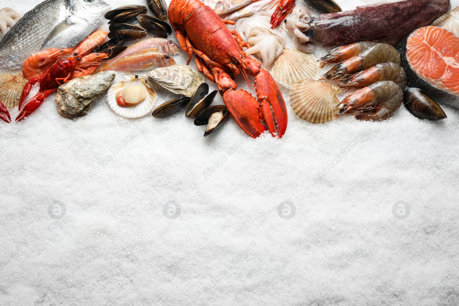 Photo of Fresh fish and seafood on ice, flat lay. Space for text