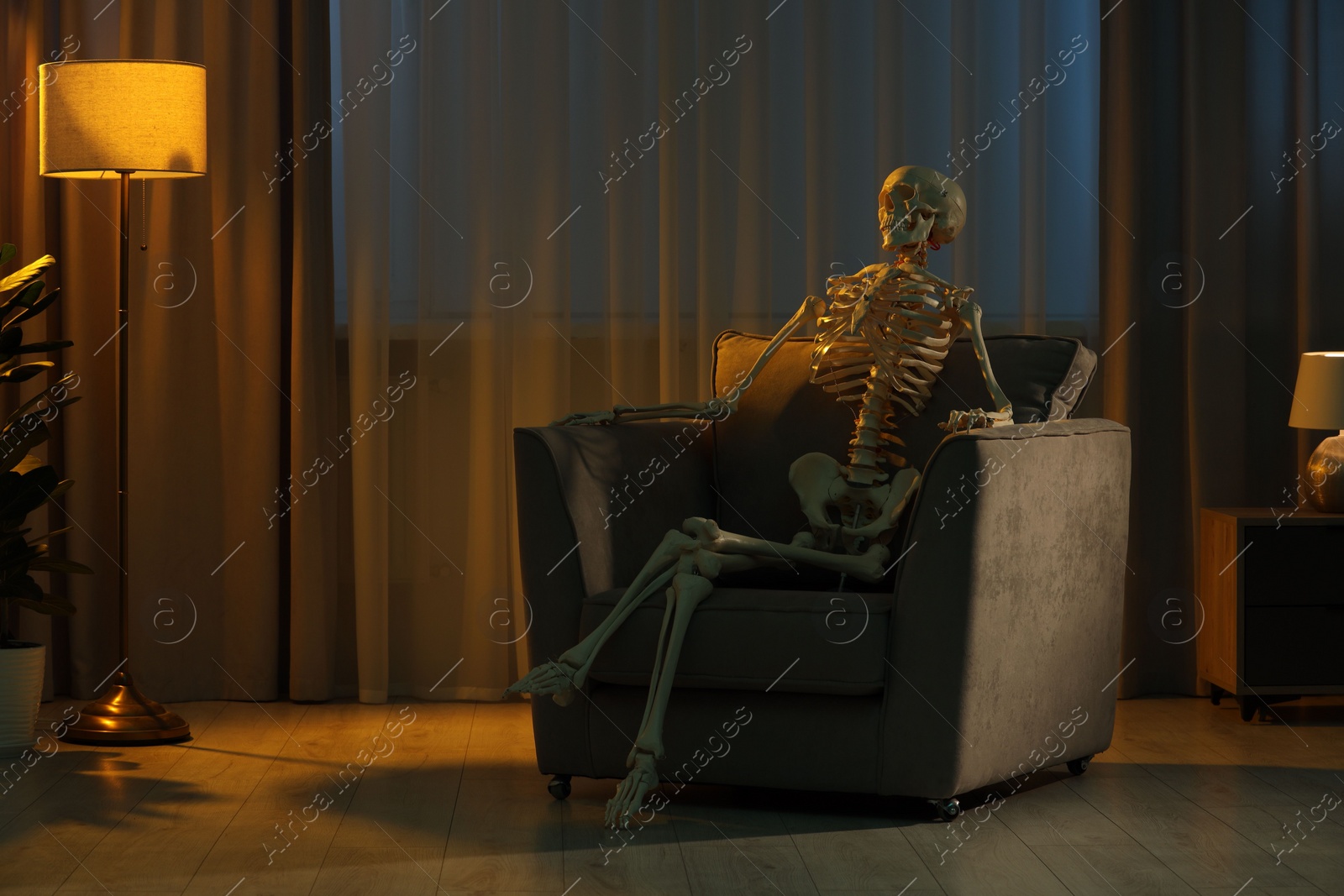 Photo of Waiting concept. Human skeleton sitting in armchair indoors, space for text