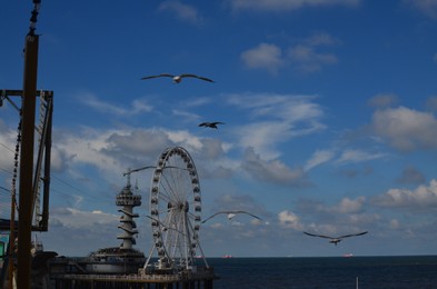Photo of HAGUE, NETHERLANDS - SEPTEMBER 10, 2022: Beautiful Ferris wheel at Scheveningen beach and flying seagulls against blue sky