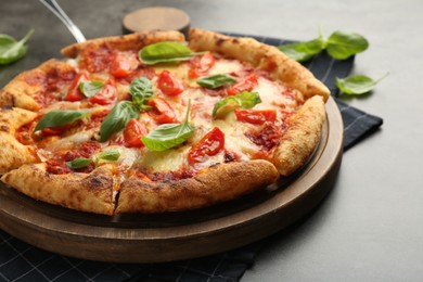 Photo of Delicious Margherita pizza and basil on grey table, closeup