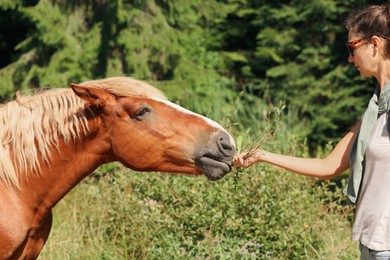Photo of Woman feeding beautiful horse near forest on sunny day, closeup. Lovely domesticated pet