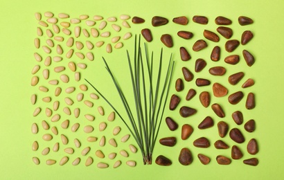 Flat lay composition with pine nuts on color background