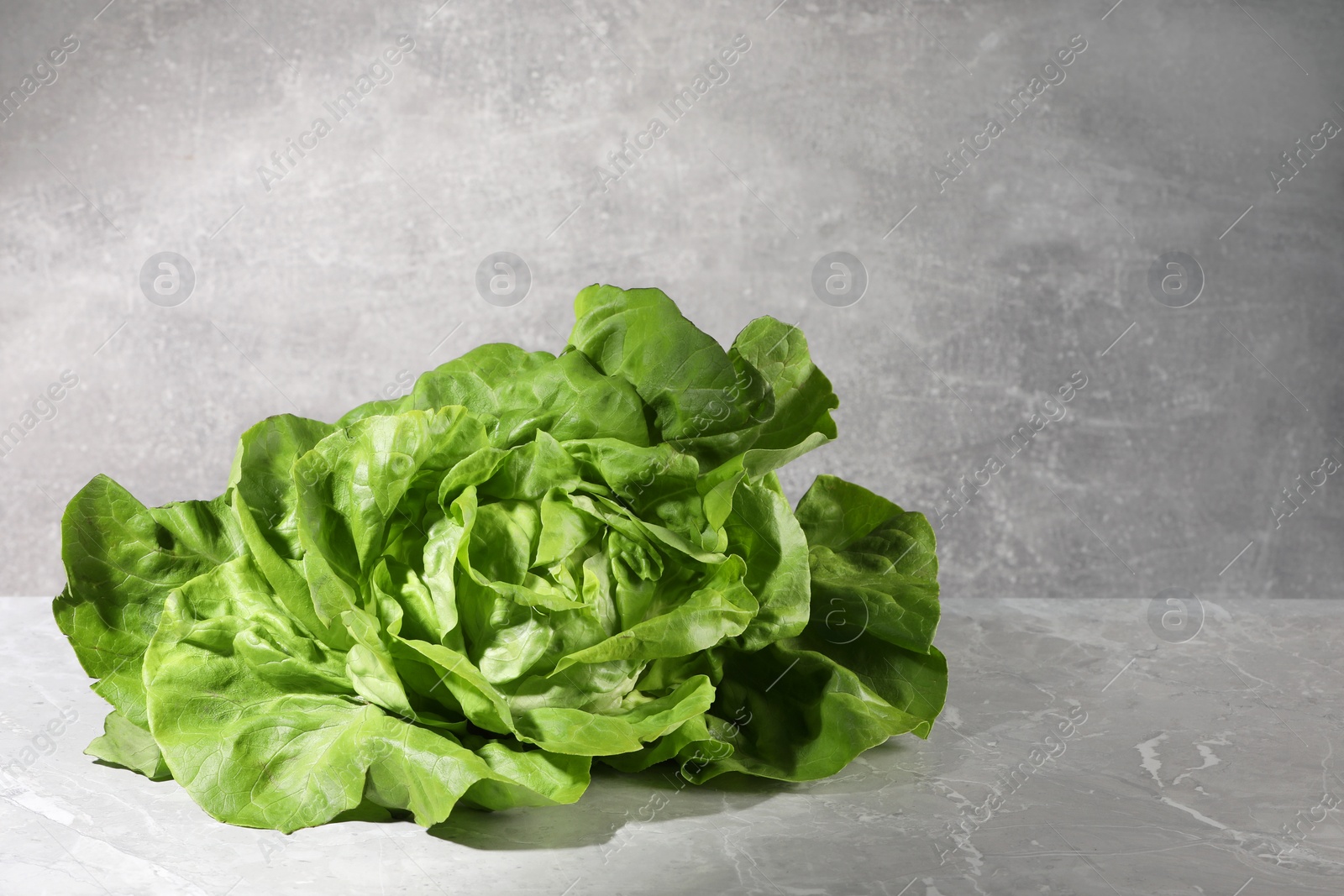 Photo of Fresh green butter lettuce on grey marble table, space for text