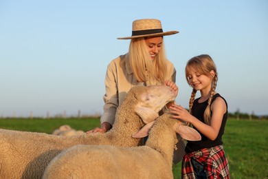 Mother and daughter stroking sheep on pasture. Farm animals