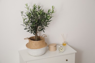 Photo of Olive tree in pot and alarm clock on white cabinet in room. Interior element