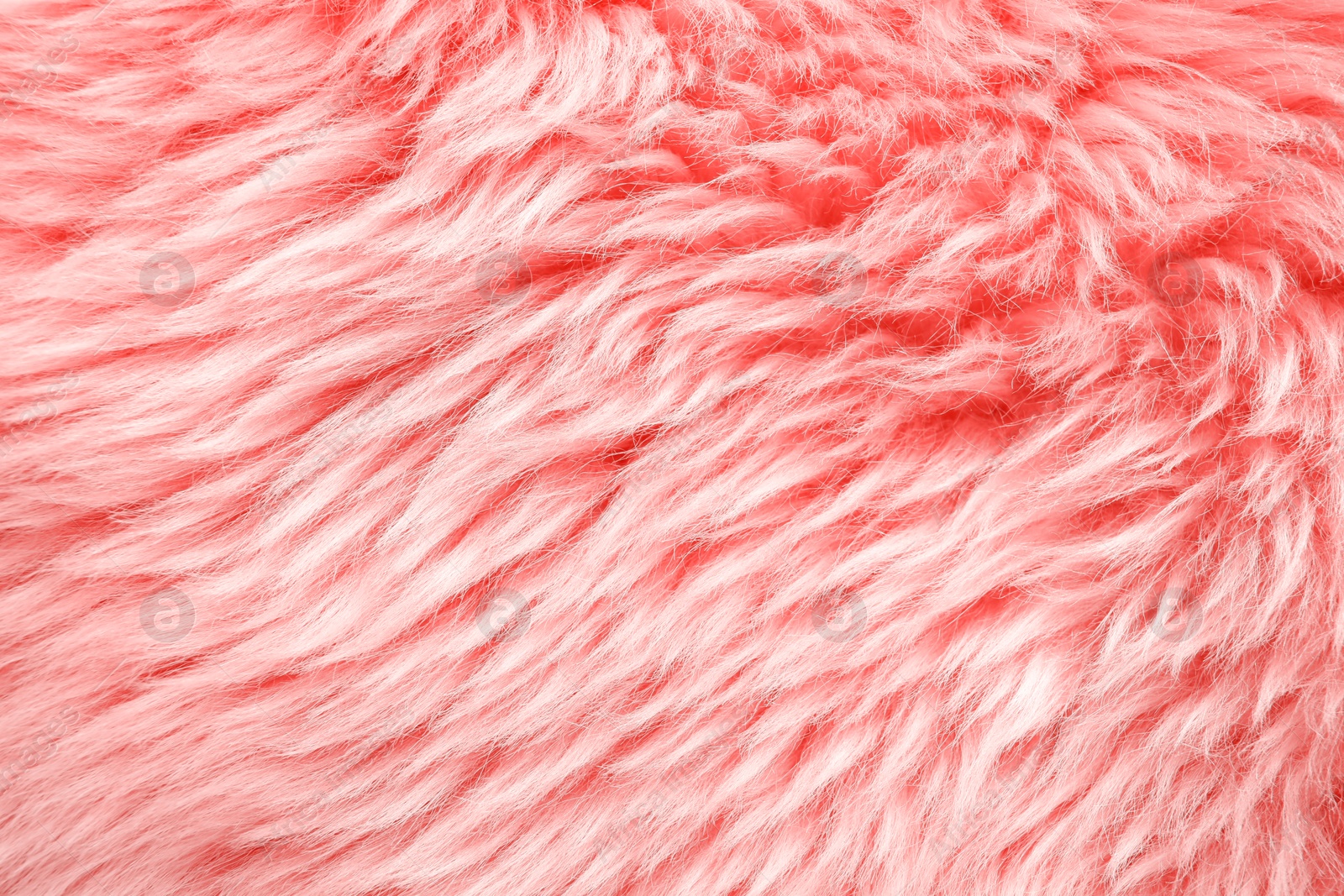 Image of Texture of color faux fur as background, closeup