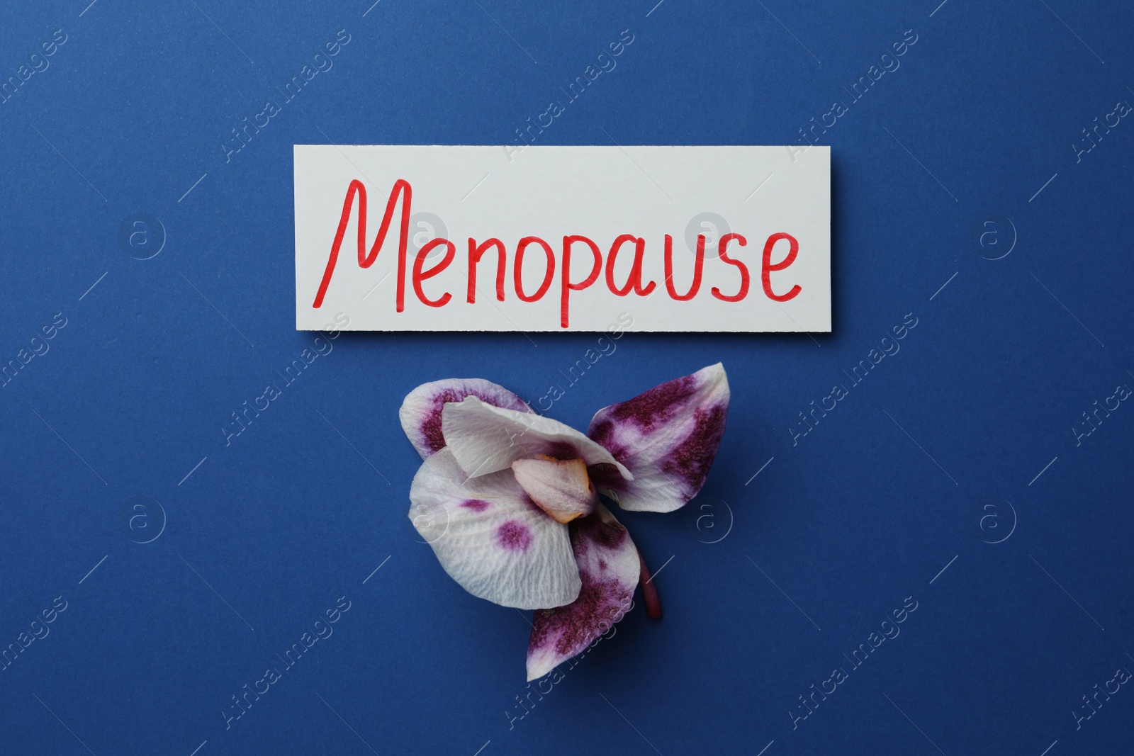 Photo of Card with word Menopause and orchid flower on blue background, flat lay