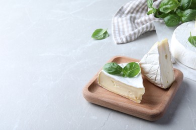 Photo of Delicious brie cheese with basil on light grey table. Space for text