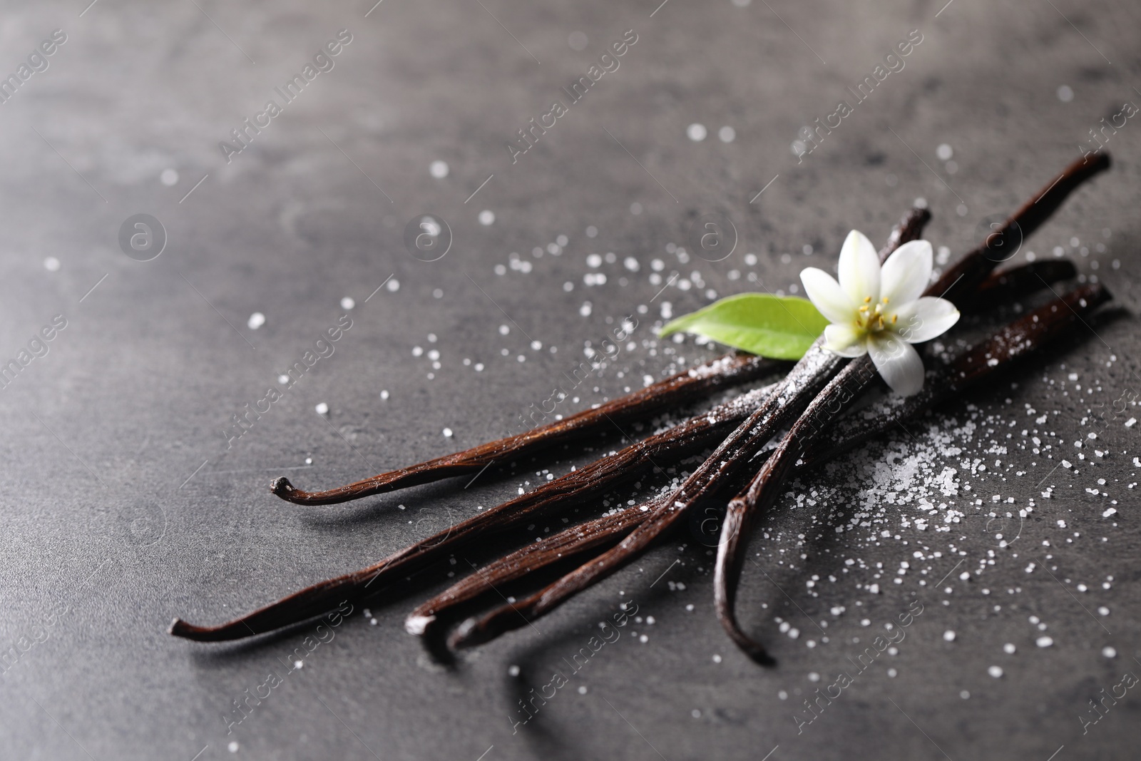 Photo of Vanilla pods, flower, leaf and sugar on grey textured table, closeup