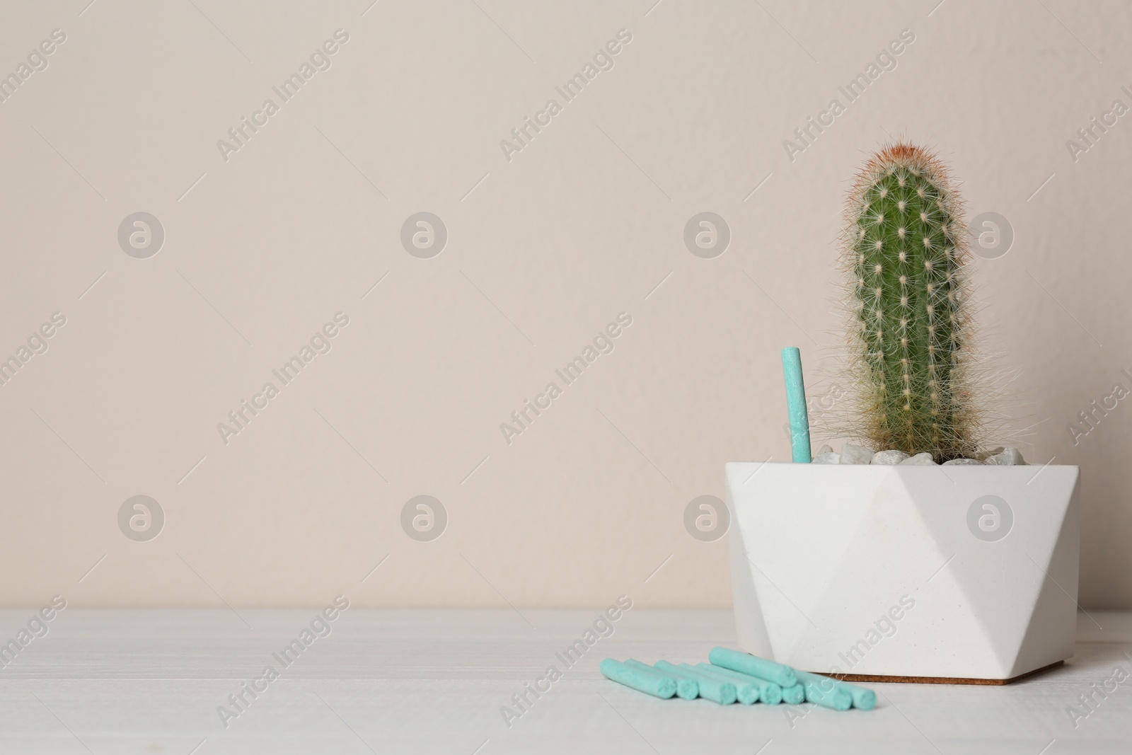 Photo of Beautiful house plant and fertilizer sticks on white wooden table against beige background. Space for text