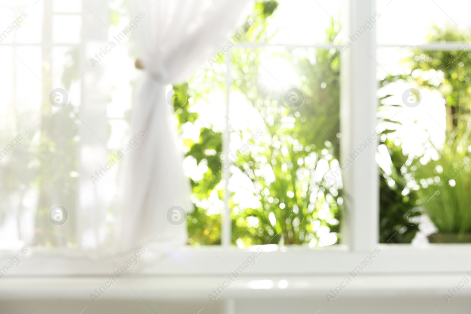 Photo of Blurred view through window on garden in morning