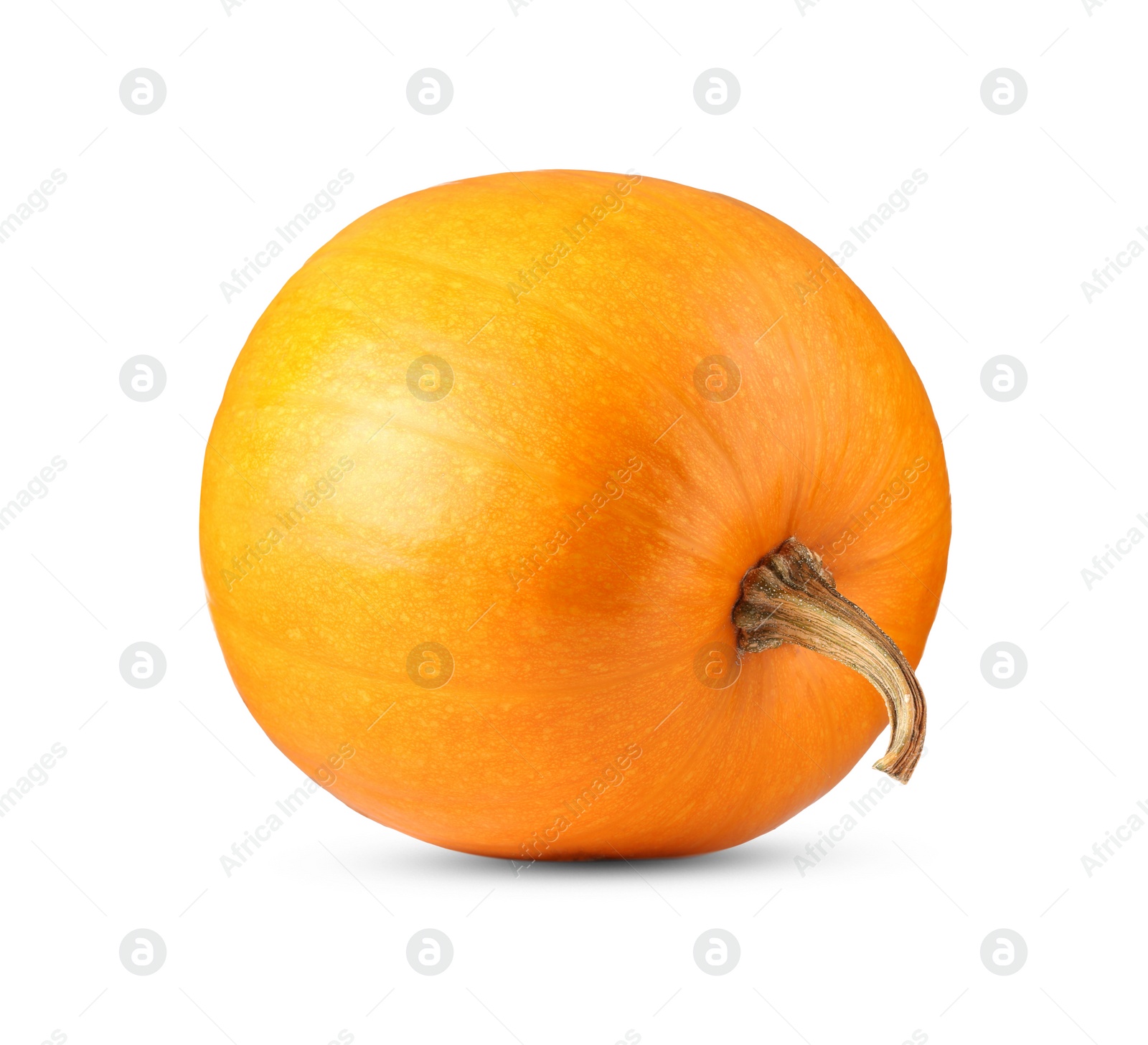 Photo of One fresh orange pumpkin isolated on white