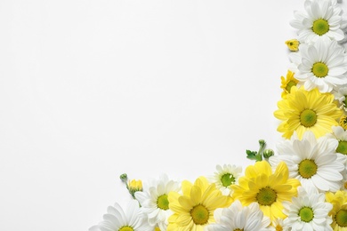 Photo of Beautiful chamomile flowers on white background, flat lay. Space for text