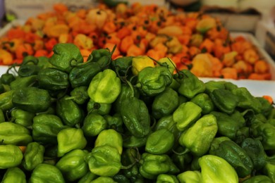 Photo of Heap of fresh Cascabel chili peppers on counter at market, closeup