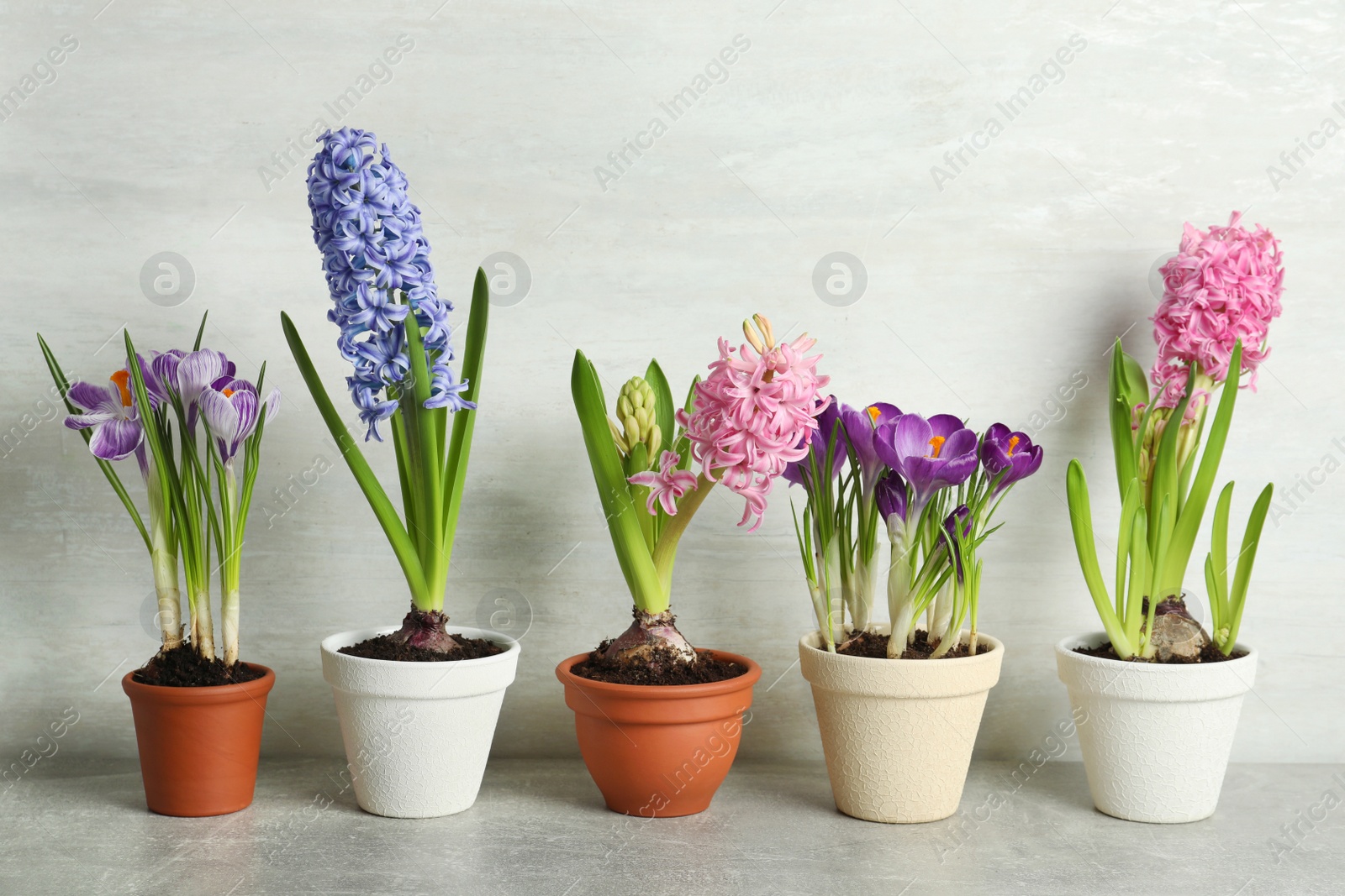 Photo of Different flowers in ceramic pots on light grey stone table