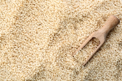 Photo of Wooden scoop on pile of sesame seeds, top view. Space for text