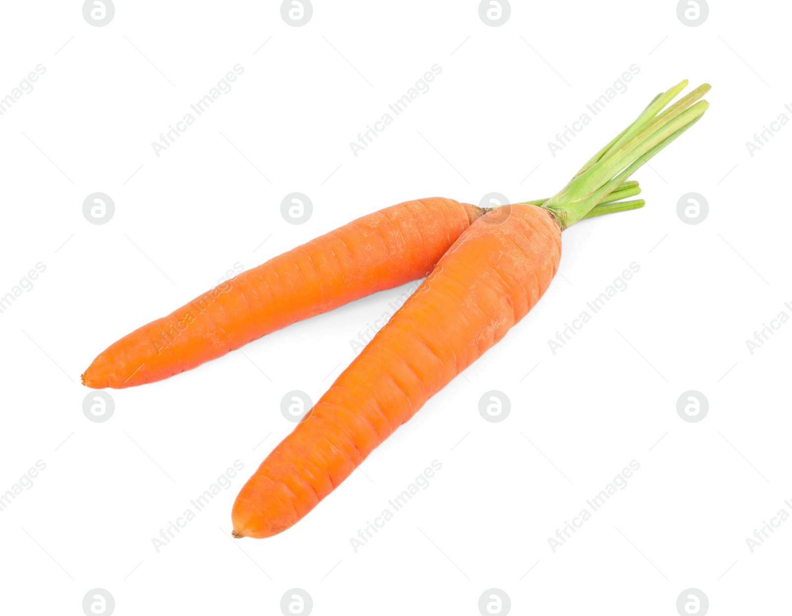 Fresh ripe juicy carrots isolated on white Photo of Fresh ripe juicy carrots isolated on white