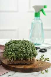 Photo of Fresh daikon radish microgreen on white marble table
