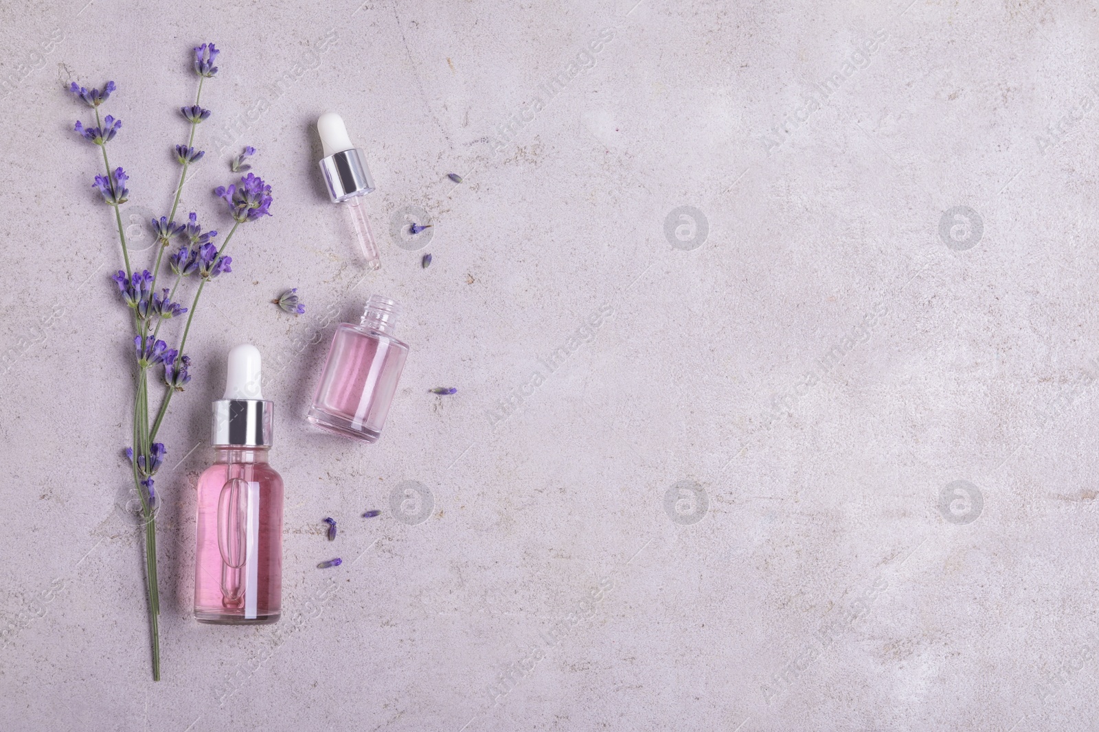 Photo of Bottles of essential oil and lavender flowers on stone background, flat lay. Space for text