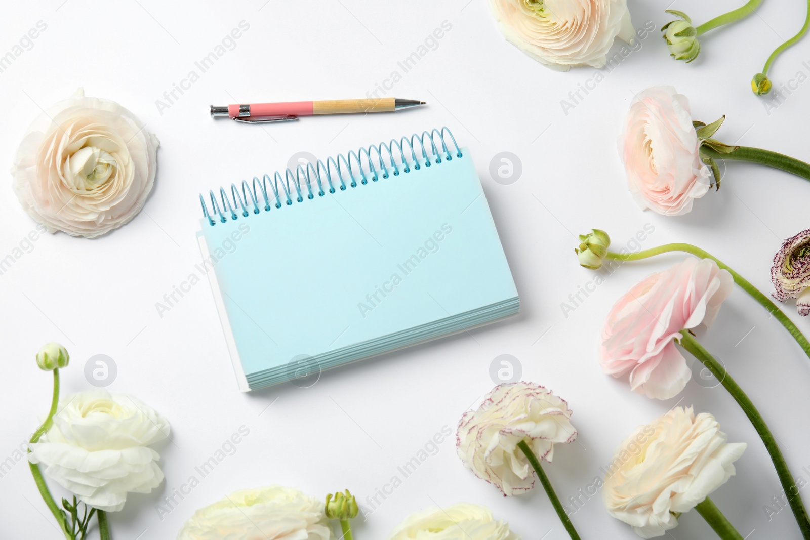 Photo of Composition with spring ranunculus flowers and notebook on white background. Space for text