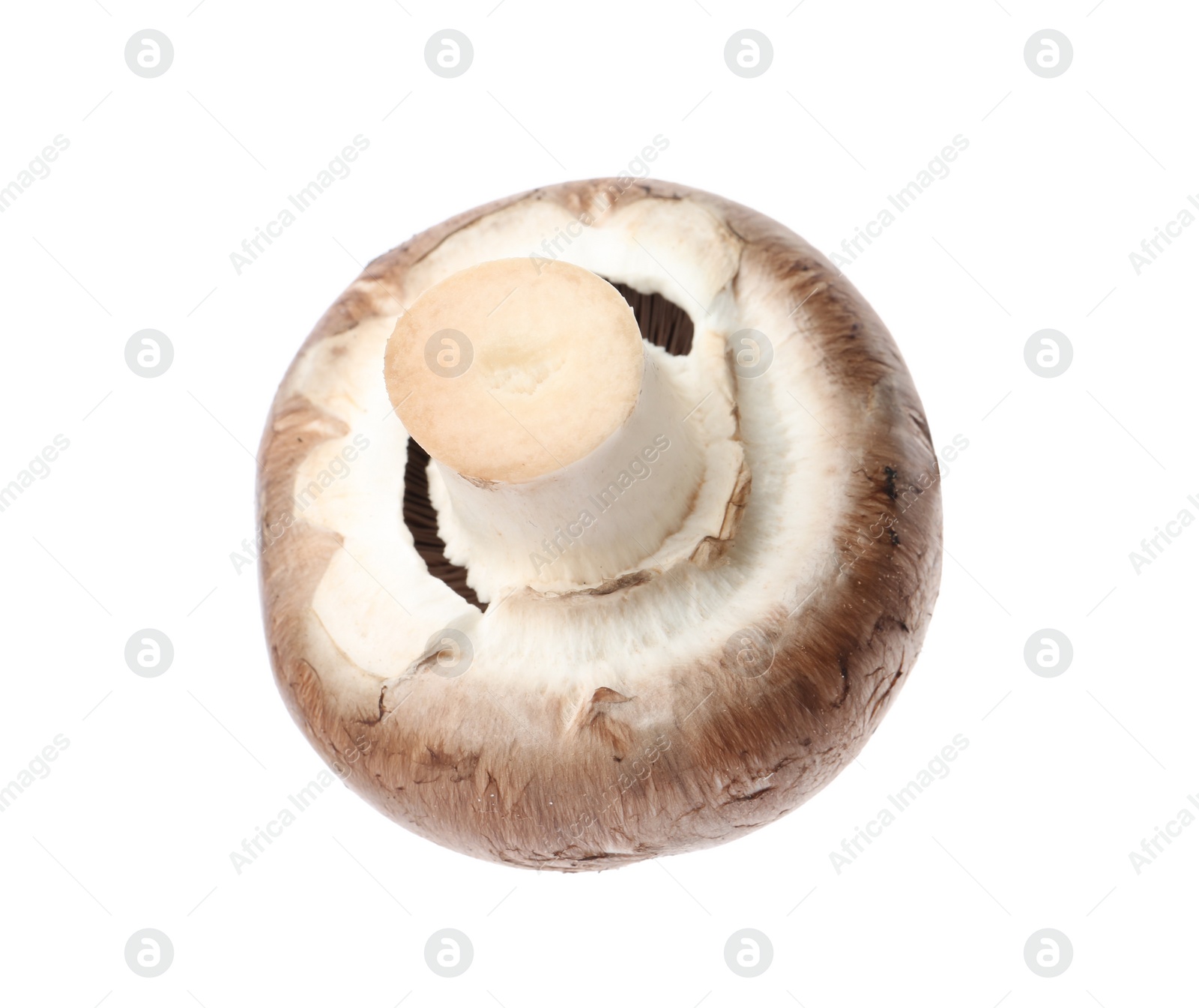 Photo of Fresh champignon mushroom isolated on white. Healthy food