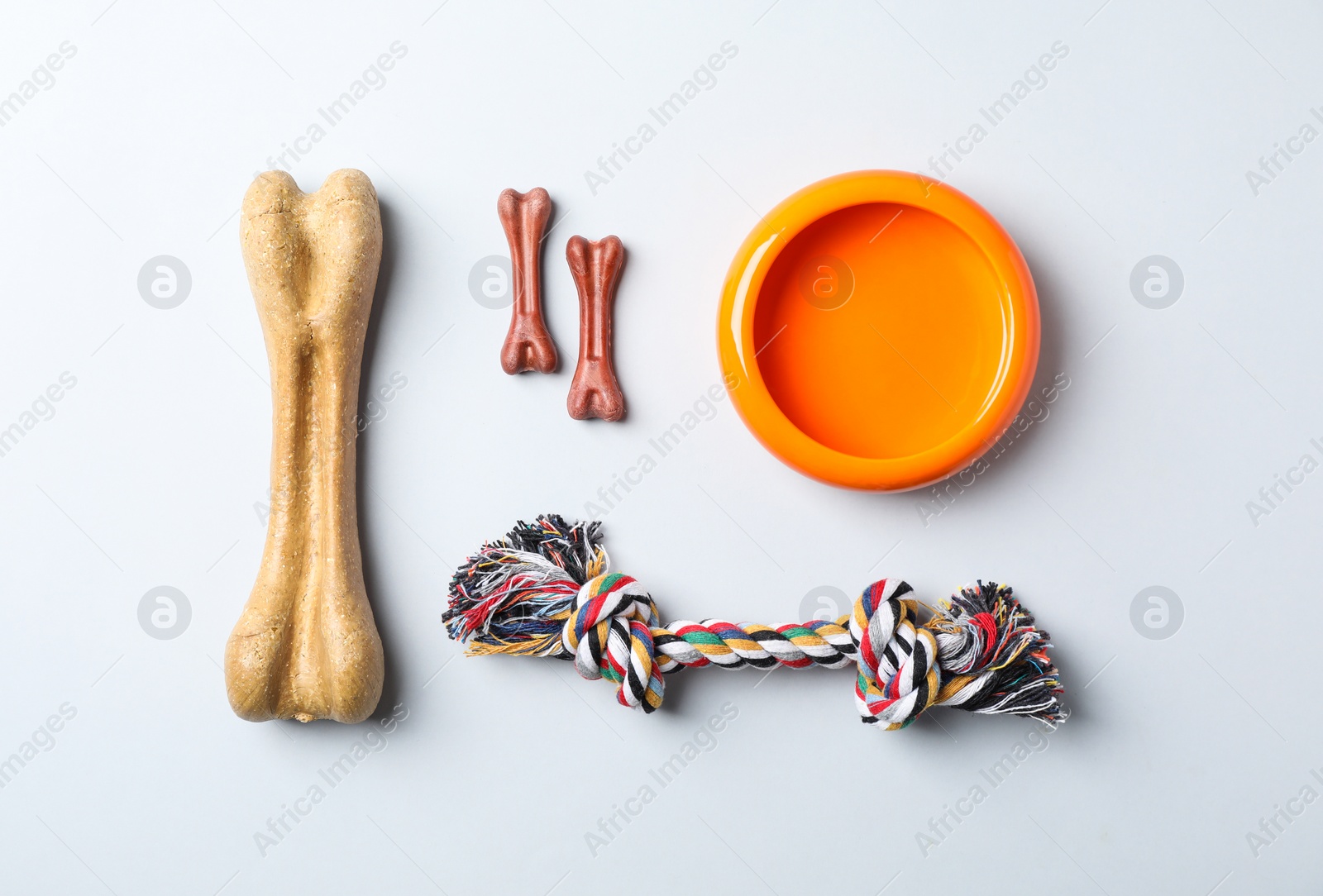 Photo of Flat lay composition with accessories for dog on light background. Pet care