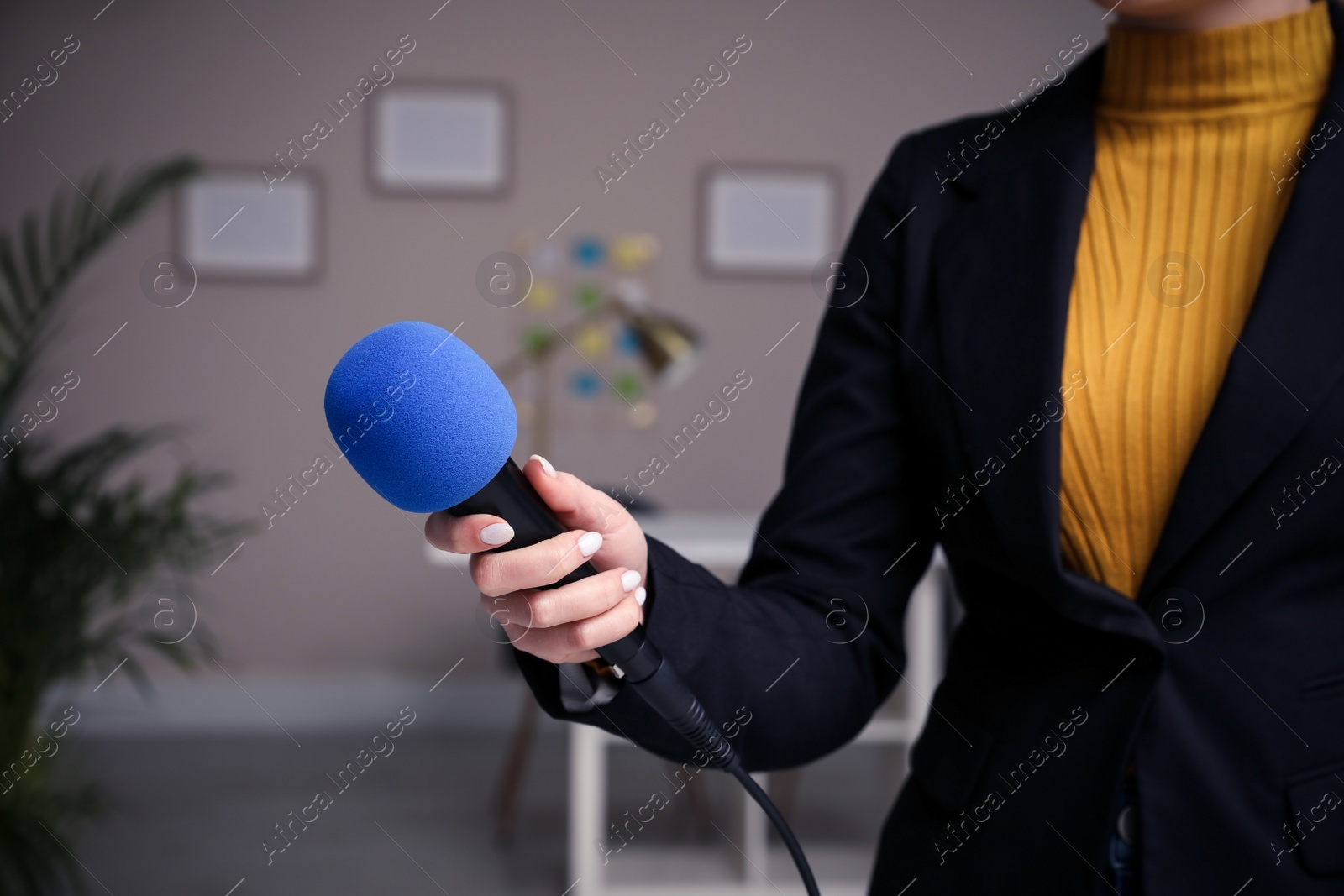 Image of Professional journalist with modern microphone in room, closeup