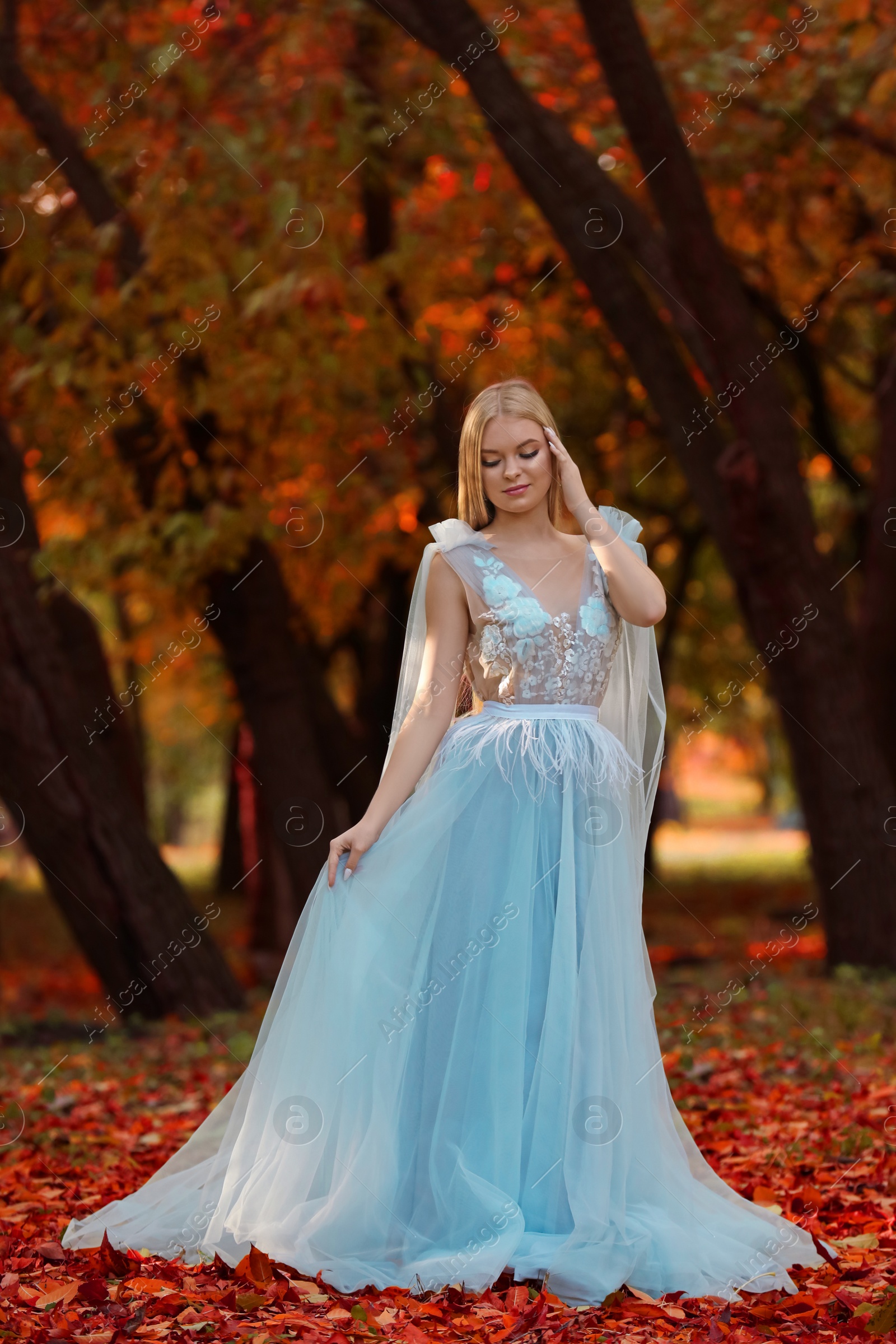 Photo of Beautiful girl wearing fairy dress in autumn forest